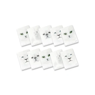 Afbeelding van Pigna Monochroom wit, liniatuur 0B notitieboek A4 papier 100 g/m², verpakking van 10 stuks 02307910B