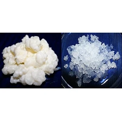 Afbeelding van Verpakking met 40 g kefirmelk + 100 verse kefir paddenstoel handleiding recepten hulp en advies in het Spaans. KEFIRALIA®
