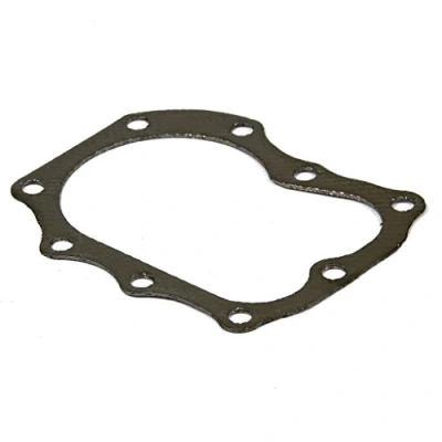 Afbeelding van Briggs &amp; Stratton 272163S cilinderkopafdichting, vervangt 272163/270430
