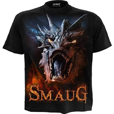 Afbeelding van WB Studio The Hobbit Smaug T shirt zwart L
