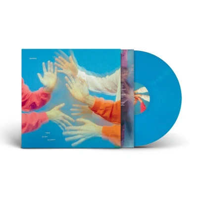 Afbeelding van Efterklang Things We Have In Common (LP)