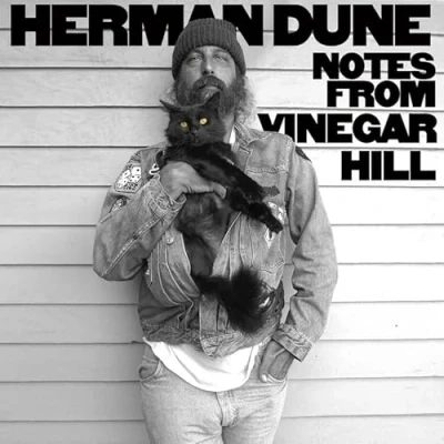 Afbeelding van Herman Dune Notes From Vinegar Hill (LP)