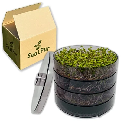 Afbeelding van SaatPur® Kiemkiemkiemkiembak, set van 3 met drie verdiepingen als kiemapparaat: kiembakken en microgroene kweekschalen. Kiembox, kiembak, kiemdoos, kiemstation