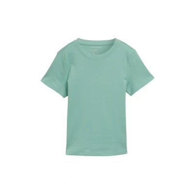 Afbeelding van TOM Tailor MIT Rundhalsausschnitt Tshirt basic, Dames, Maat: Small, Faded green