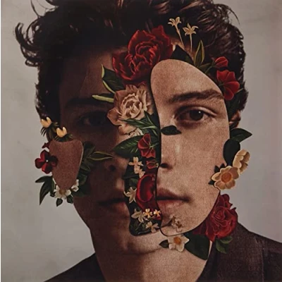 Afbeelding van Shawn Mendes