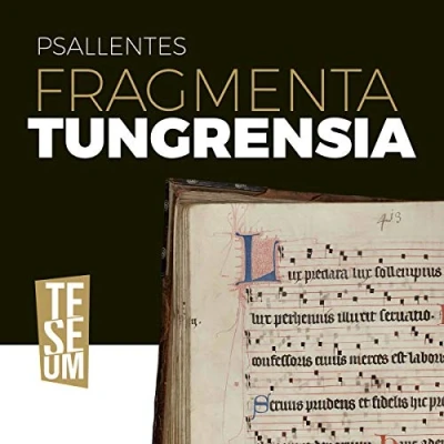 Afbeelding van Psallentes &amp; Hendrik Vanden Abeele Fragmenta Tungrensia (CD)