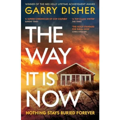 Afbeelding van The Way It Is Now: a totally gripping and unputdownable Australian crime thriller