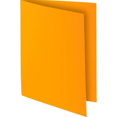 Afbeelding van Exacompta ref. 807026E Set van 30 felgekleurde inlegmappen ROCK&#039;&#039;S 80 g/m2 in PEFC™ gecertificeerde mappen Afmetingen: 22 x 31 cm Formaat A4 kleur oker
