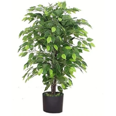 Afbeelding van LEAF 7088 Design UK 90cm Kunstmatige Ficus Boom/Plant Grote Bossige Vorm Zwarte Plastic Pot, Groene