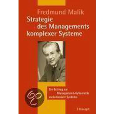 Afbeelding van Strategie des Managements komplexer Systeme