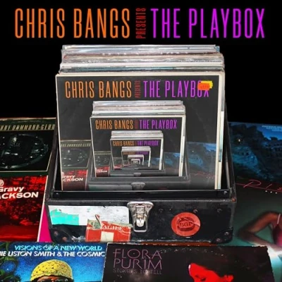 Afbeelding van V/A Chris Bangs Presents the Playbox (2 LPs)