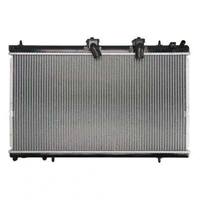 Afbeelding van Thermotec Radiateur D7C005TT