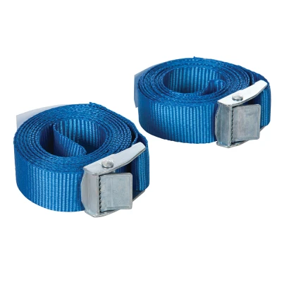 Afbeelding van Silverline Riemen set met gespsluiting, 2,5 m x 25 mm, 2 pak mm