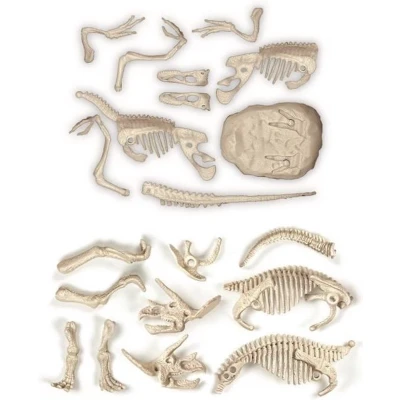 Afbeelding van CLEMENTONI Archéo Ludic Legendarische dinosaurussen Wetenschap en spel