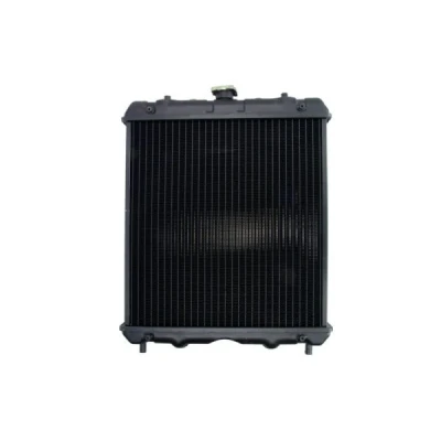 Afbeelding van Thermotec Radiateur D7AG434TT