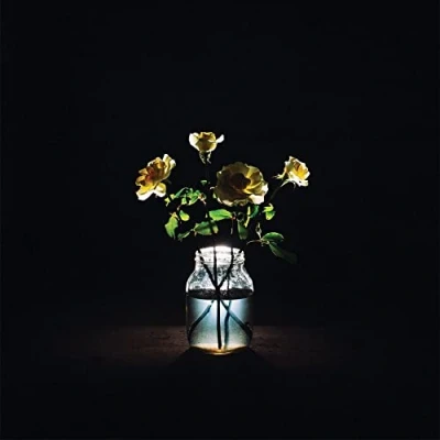 Afbeelding van Billy Strings Renewal (CD)
