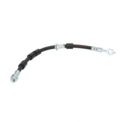 Afbeelding van Delphi Diesel Remslang LH7024