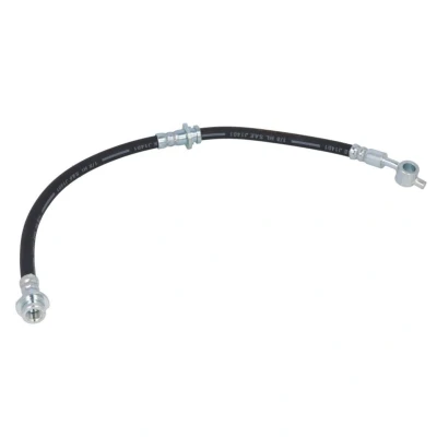 Afbeelding van Delphi Diesel Remslang LH6209