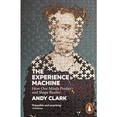 Afbeelding van The Experience Machine: how Our Minds Predict and Shape Reality