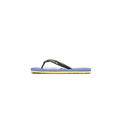 Afbeelding van Quiksilver Molokai Screen Teensandalen, Heren, Maat: 44, Dsp Kunststof