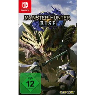Afbeelding van Nintendo 1006110 video game Standaard Nederlands, Engels, Spaans, Frans, Japans, Portugees, Russisch Switch