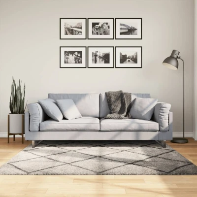 Afbeelding van Vloerkleed shaggy hoogpolig modern 160x160cm beige en antraciet