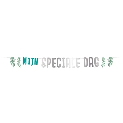 Afbeelding van Letterslinger &#039;Mijn speciale dag&#039; 1 meter