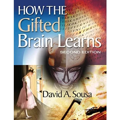 Afbeelding van How The Gifted Brain Learns 2nd