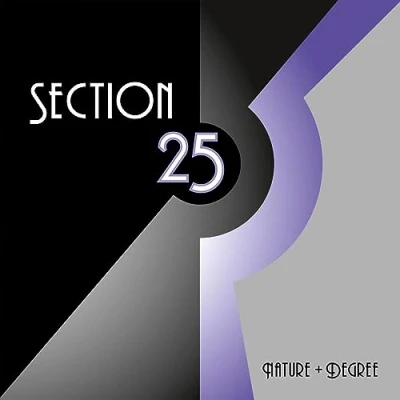 Afbeelding van Section 25 Nature + Degree (LP)