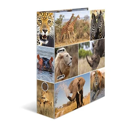 Afbeelding van HERMA 7168 ordner A4 dieren Afrika, 10 stuks, 7 cm breed, motief van karton met opdruk aan de binnenkant, voor school en kantoor, stevige kinderringmappen, set jongens