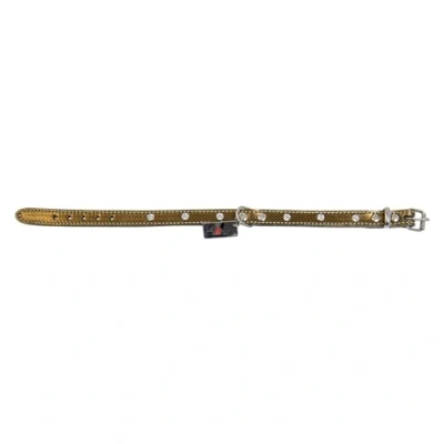 Afbeelding van Jack And Vanilla Halsbanden Monaco Halsband Brons 12mmx30cm 45/5012 179535