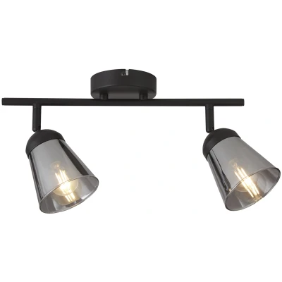 Afbeelding van Searchlight Smoke plafondlamp Mega 2 lichts 61170 2SM