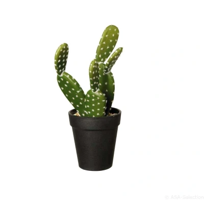 Afbeelding van Cactus Opuntia Ficus 26cm