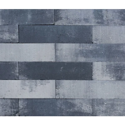 Afbeelding van MBI De Steenmeesters Patioblok Strak 60x15x15 Cm Grijs/zwart Uniek &amp; speels effect