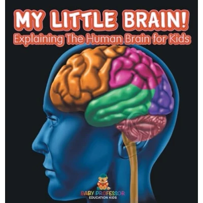 Afbeelding van My Little Brain! Explaining The Human Brain for Kids