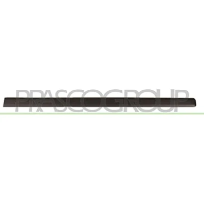 Afbeelding van Sier / beschermingspaneel, deur PRASCO FT1221403