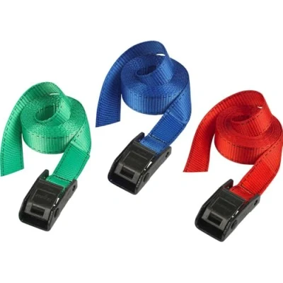 Afbeelding van Masterlock Set of 2 lashing straps 2,50m assorted colors : blue + green red 3110EURDATCOL