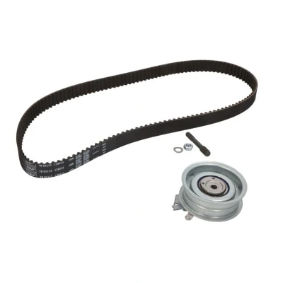 Afbeelding van Skf Distributieriem kit VKMA 01113