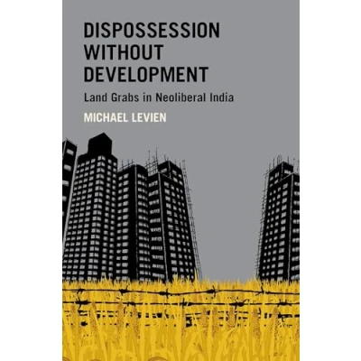 Afbeelding van Dispossession without Development