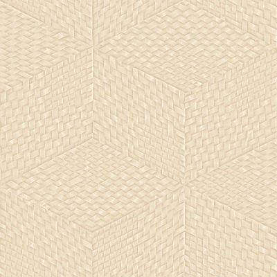 Afbeelding van Dutch Wallcoverings Exclusive Threads TP422955 Beige