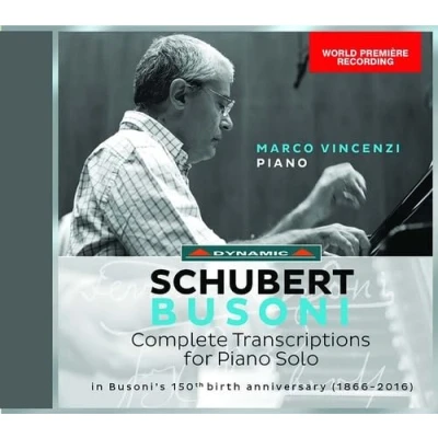 Afbeelding van Marco Vincenzi Complete Transcriptions For Piano Solo (CD)