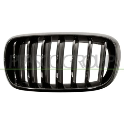 Afbeelding van Blic Grille 6502 07 00969977P