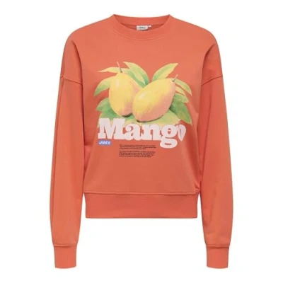 Afbeelding van ONLY ONLPHILEA L/S FRUIT O NECK UB SWT Sweaters