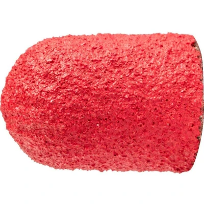 Afbeelding van PFERD 42302107 Schuurkap Diameter 10 mm 50 stuk(s)