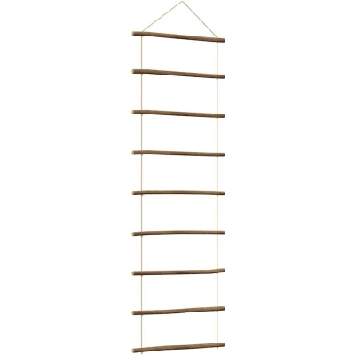Afbeelding van vidaXL Wanddecoratie laddervormig 50x150 cm naturel tak