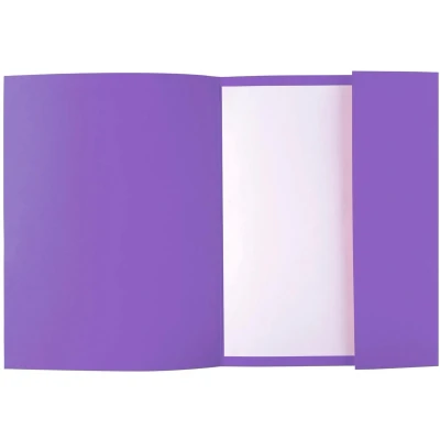 Afbeelding van Map, 1 klep, Rock&#039;s 210 24x32 cm Exacompta