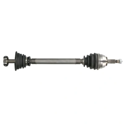 Afbeelding van Aandrijfas PASCAL G2R038PC