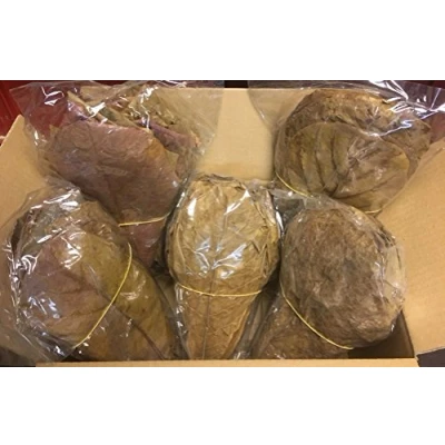 Afbeelding van catappa leaves 350 g zeemandelboombladeren 20 25 cm ( 200 stuks)
