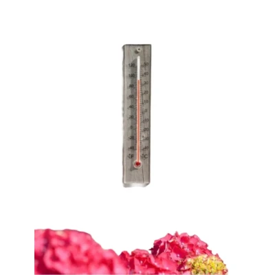 Afbeelding van Muurthermometer plexiglas 21x4x0,8cm Nature
