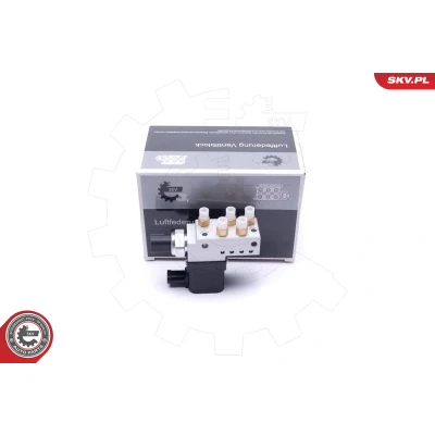 Afbeelding van ESEN SKV 93SKV807 Klep, pneumatisch systeem Meerwegklep